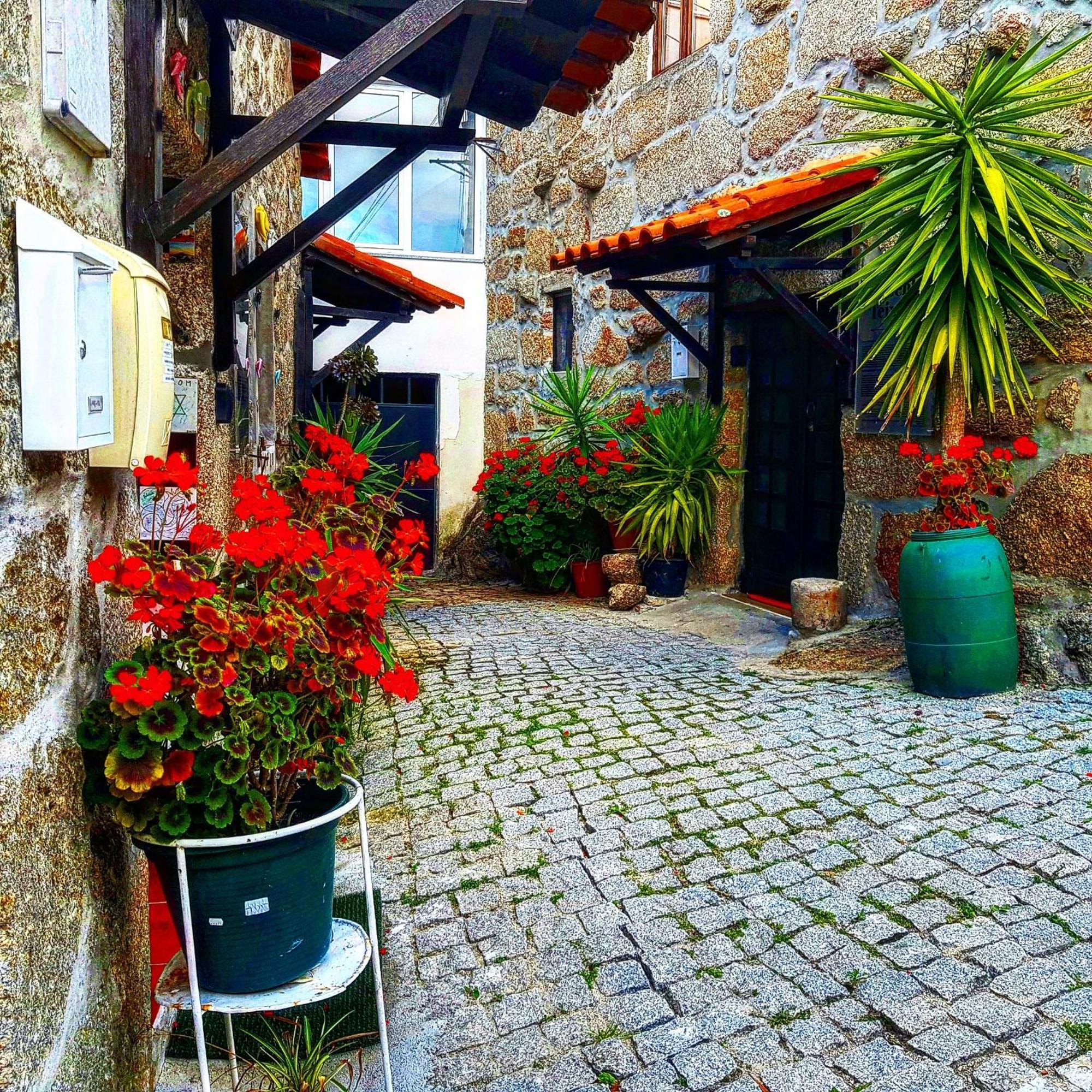 Jose Domingos Holiday home *