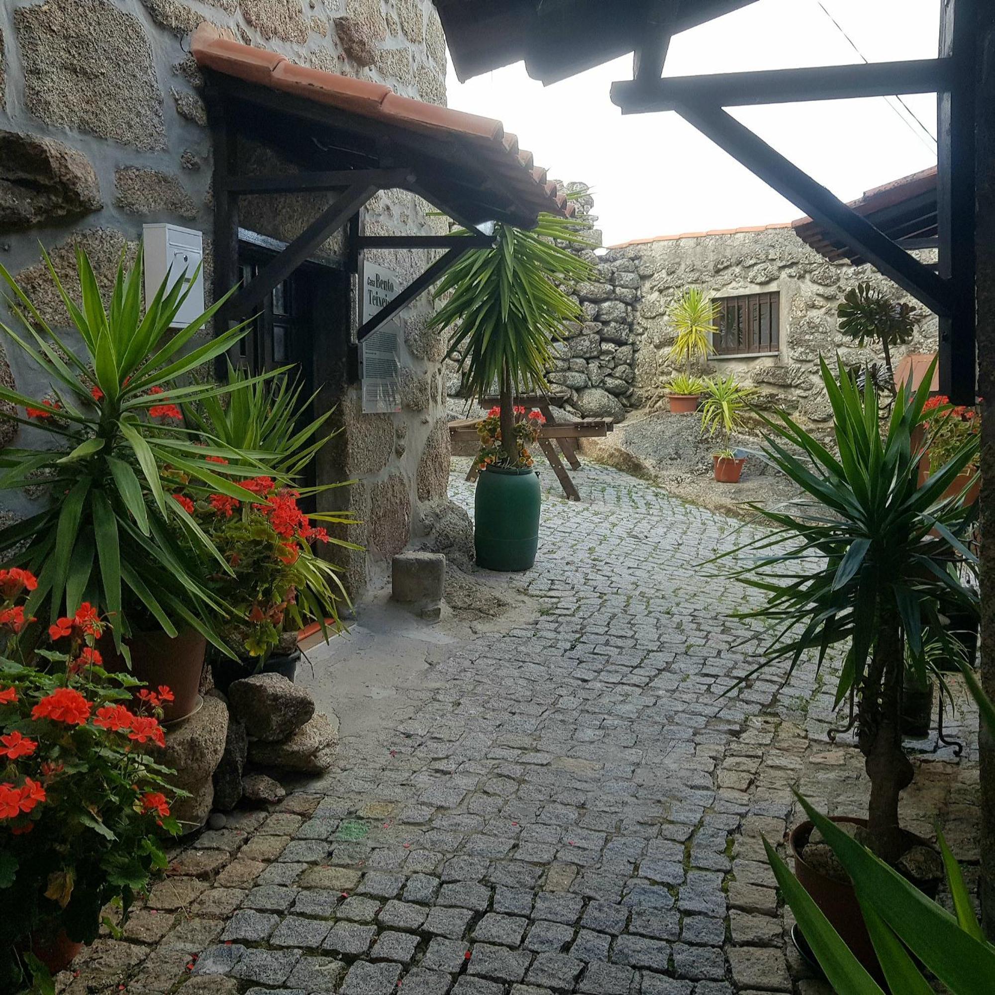 Holiday home Jose Domingos