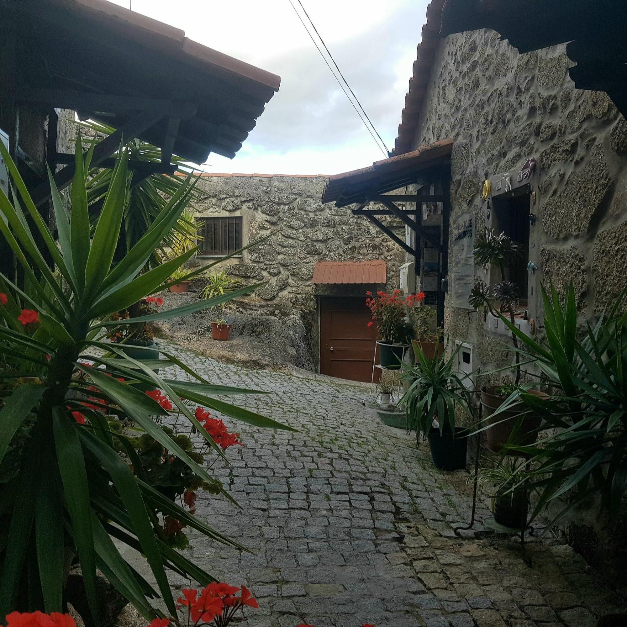 Jose Domingos Holiday home