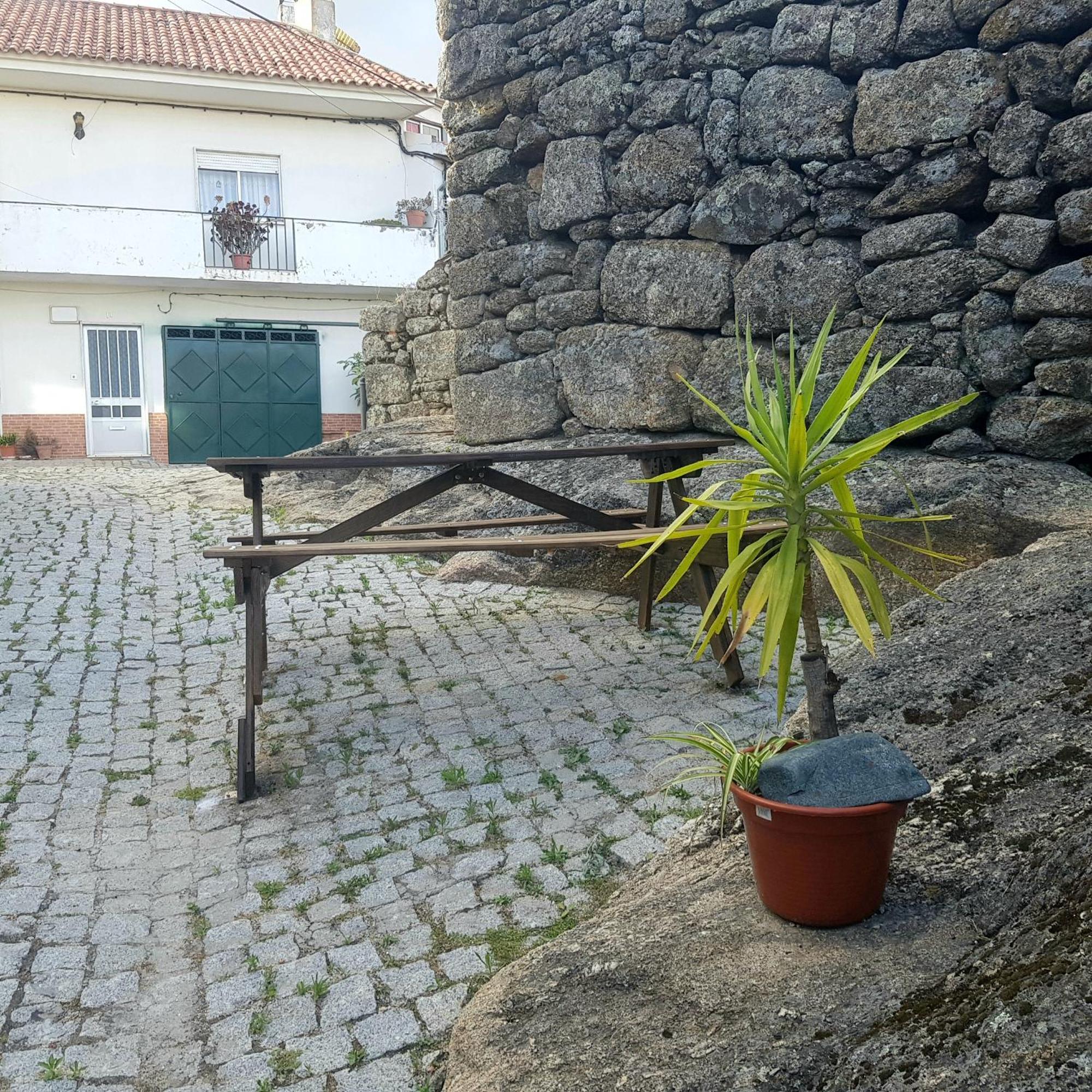 Jose Domingos Holiday home *